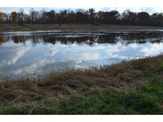 Property photo 29 - 127 Acres Offered in 8 Tracts - Allen & Dekalb County Land
